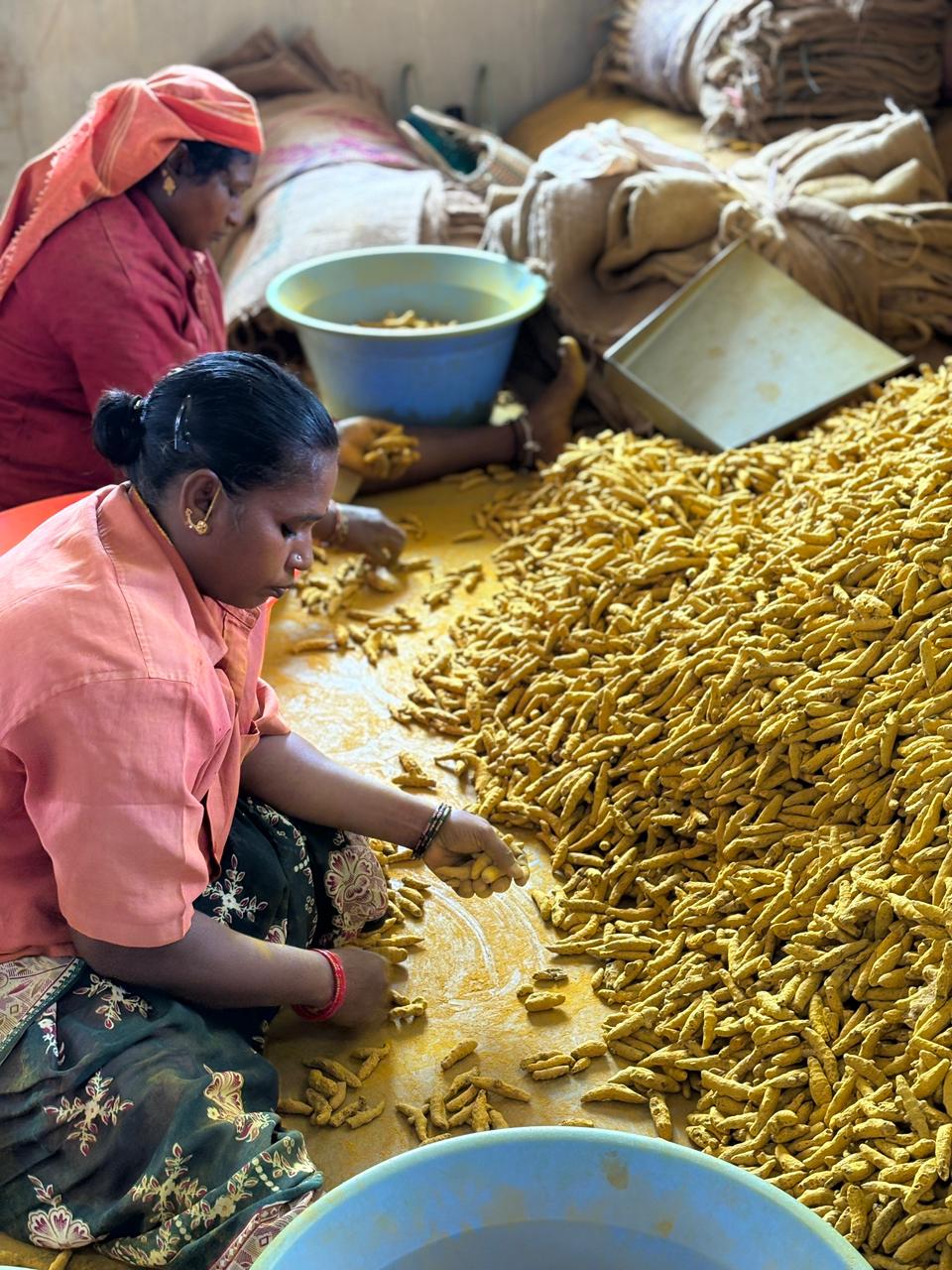 Indian spice sourcing